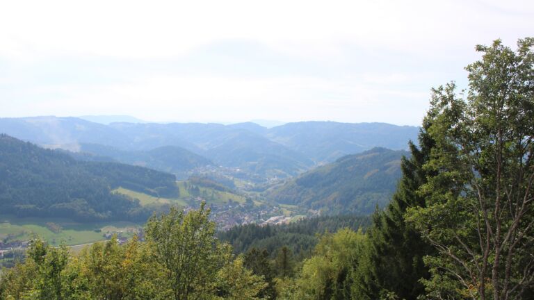 Dieses Bild zeigt eine Webcam-Aufnahme vom Achertal, aufgenommen am Dienstag, den 29.09.2026 um 14:40 Uhr. Die Temperatur betrug 26.2°C.