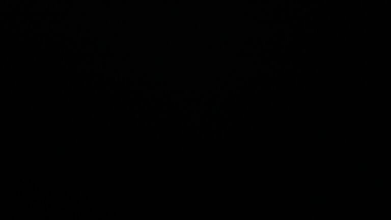 Dieses Bild zeigt eine Webcam-Aufnahme vom Achertal, aufgenommen am Montag, den 16.06.2025 um 02:00 Uhr. Die Temperatur betrug 9.8°C.
