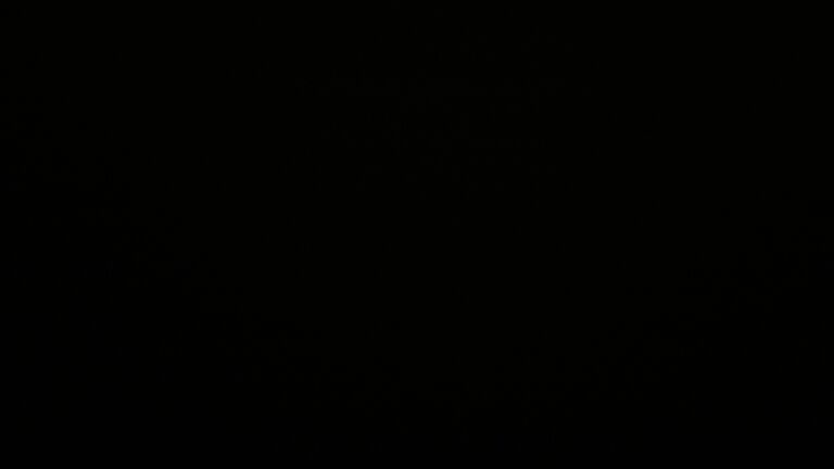 Dieses Bild zeigt eine Webcam-Aufnahme vom Achertal, aufgenommen am Mittwoch, den 24.09.2025 um 21:30 Uhr. Die Temperatur betrug 4.6°C.