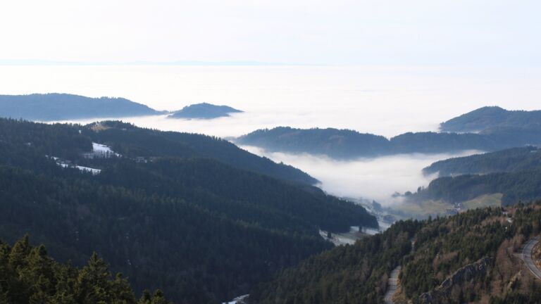 Dieses Bild zeigt eine Webcam-Aufnahme vom Achertal, aufgenommen am Mittwoch, den 21.01.2026 um 15:00 Uhr. Die Temperatur betrug 6.5°C.