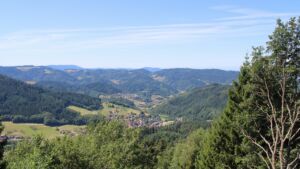 Dieses Bild zeigt eine Webcam-Aufnahme vom Achertal, aufgenommen am Sonntag, den 12.07.2026 um 11:50 Uhr. Die Temperatur betrug 25.1°C.