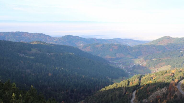 Dieses Bild zeigt eine Webcam-Aufnahme vom Achertal, aufgenommen am Donnerstag, den 06.11.2025 um 08:50 Uhr. Die Temperatur betrug 10.1°C.