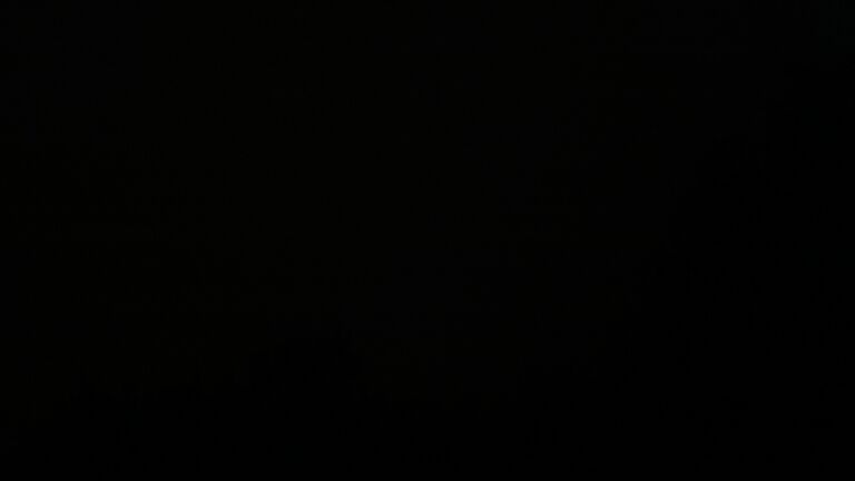Dieses Bild zeigt eine Webcam-Aufnahme vom Achertal, aufgenommen am Mittwoch, den 21.10.2026 um 02:30 Uhr. Die Temperatur betrug 8.1°C.
