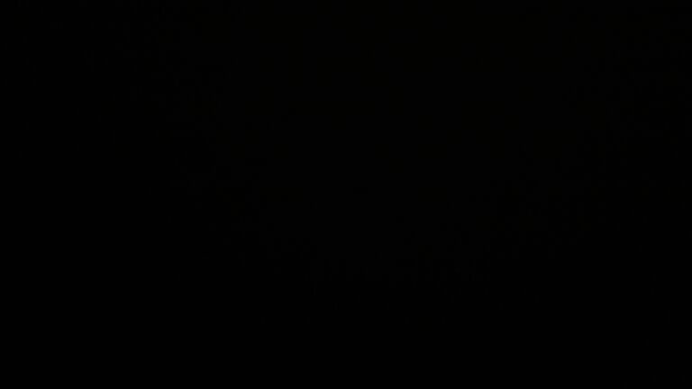 Dieses Bild zeigt eine Webcam-Aufnahme vom Achertal, aufgenommen am Samstag, den 07.06.2025 um 03:20 Uhr. Die Temperatur betrug 11.8°C.