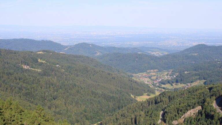 Dieses Bild zeigt eine Webcam-Aufnahme vom Achertal, aufgenommen am Samstag, den 05.07.2025 um 08:40 Uhr. Die Temperatur betrug 20°C.
