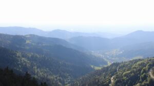Dieses Bild zeigt eine Webcam-Aufnahme vom Achertal, aufgenommen am Freitag, den 08.05.2026 um 18:30 Uhr. Die Temperatur betrug 11.6°C.