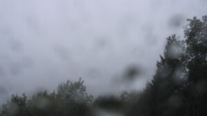 Dieses Bild zeigt eine Webcam-Aufnahme vom Achertal, aufgenommen am Donnerstag, den 08.10.2026 um 14:40 Uhr. Die Temperatur betrug 9.7°C.