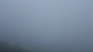 Dieses Bild zeigt eine Webcam-Aufnahme vom Achertal, aufgenommen am Donnerstag, den 11.12.2025 um 16:20 Uhr. Die Temperatur betrug 3.5°C.