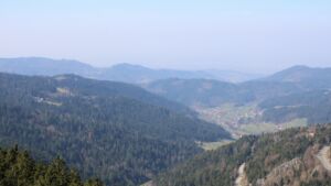 Dieses Bild zeigt eine Webcam-Aufnahme vom Achertal, aufgenommen am Donnerstag, den 19.03.2026 um 11:50 Uhr. Die Temperatur betrug 8.1°C.