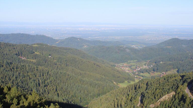 Dieses Bild zeigt eine Webcam-Aufnahme vom Achertal, aufgenommen am Freitag, den 29.08.2025 um 08:30 Uhr. Die Temperatur betrug 11.1°C.