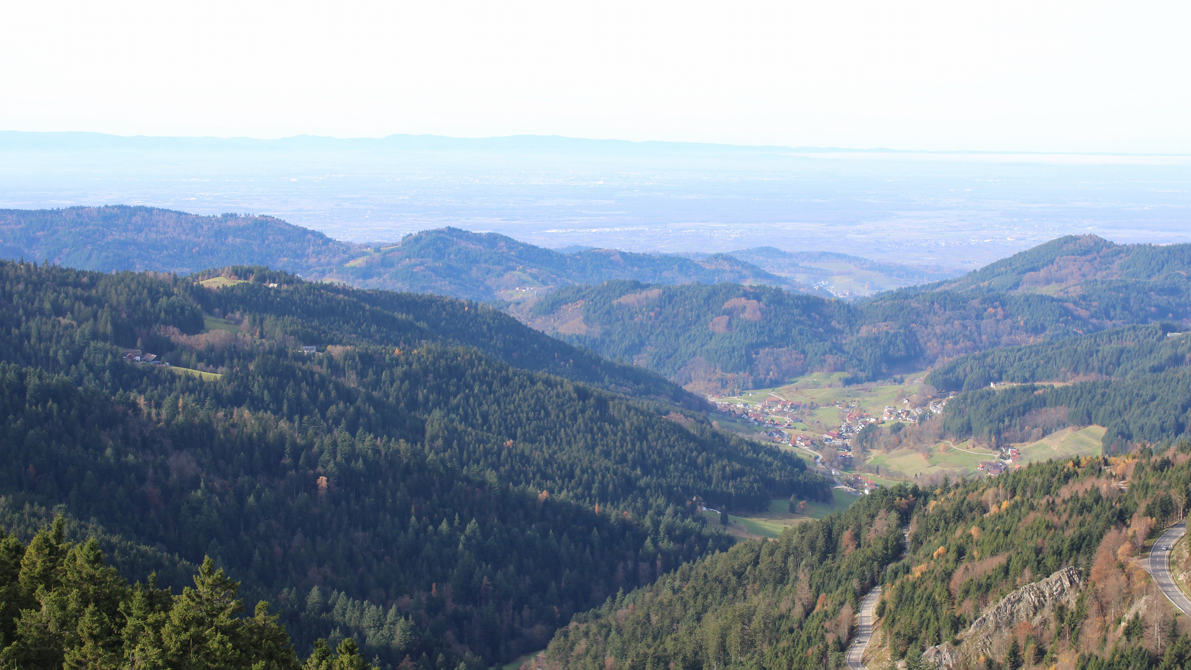 Zum Fotoarchiv vom Mittwoch, 12. November 2025