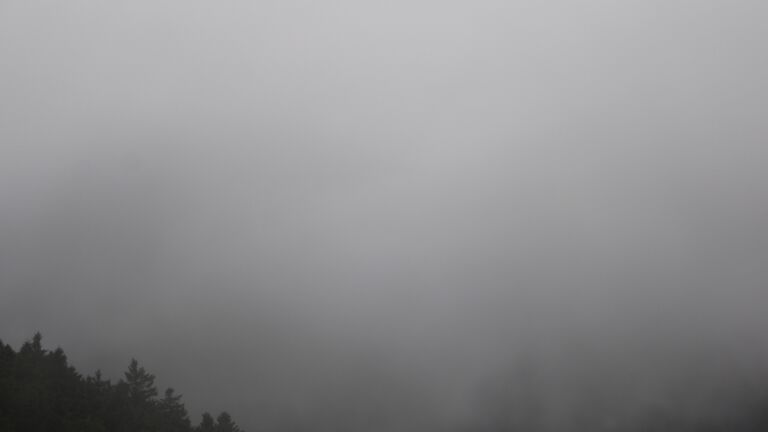 Dieses Bild zeigt eine Webcam-Aufnahme vom Achertal, aufgenommen am Sonntag, den 02.11.2025 um 15:50 Uhr. Die Temperatur betrug 5.2°C.