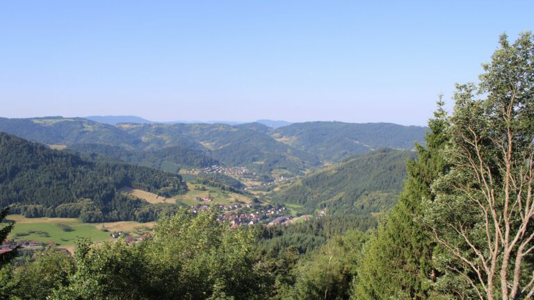 Dieses Bild zeigt eine Webcam-Aufnahme vom Achertal, aufgenommen am Donnerstag, den 25.06.2026 um 08:50 Uhr. Die Temperatur betrug 30.4°C.