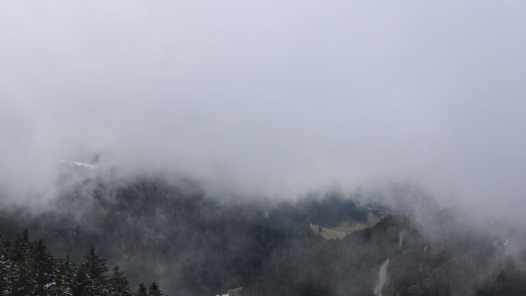 Dieses Bild zeigt eine Webcam-Aufnahme vom Achertal, aufgenommen am Montag, den 02.02.2026 um 13:30 Uhr. Die Temperatur betrug 2.8°C.