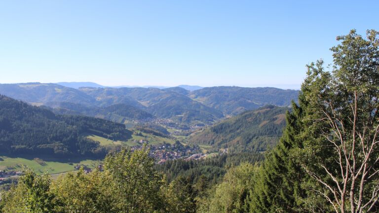 Dieses Bild zeigt eine Webcam-Aufnahme vom Achertal, aufgenommen am Samstag, den 26.09.2026 um 11:50 Uhr. Die Temperatur betrug 24.1°C.