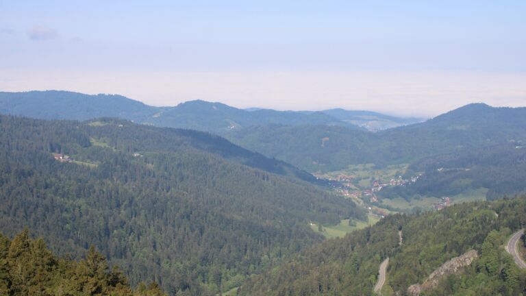 Dieses Bild zeigt eine Webcam-Aufnahme vom Achertal, aufgenommen am Freitag, den 08.05.2026 um 09:30 Uhr. Die Temperatur betrug 8.2°C.
