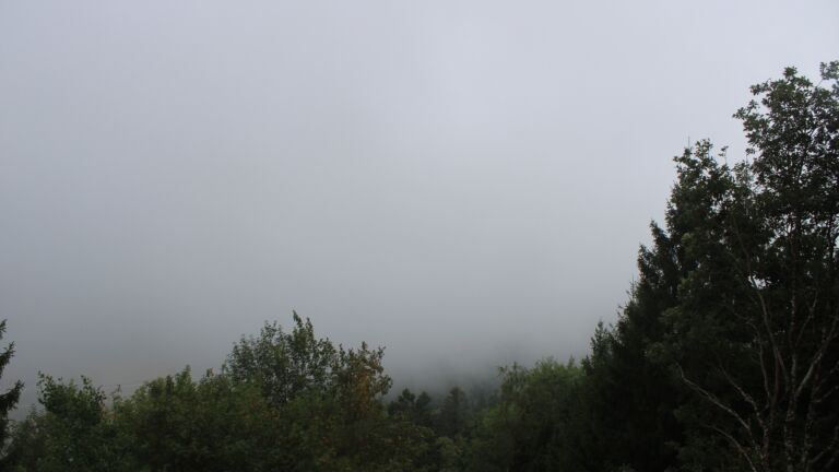 Dieses Bild zeigt eine Webcam-Aufnahme vom Achertal, aufgenommen am Samstag, den 22.08.2026 um 10:20 Uhr. Die Temperatur betrug 10.8°C.