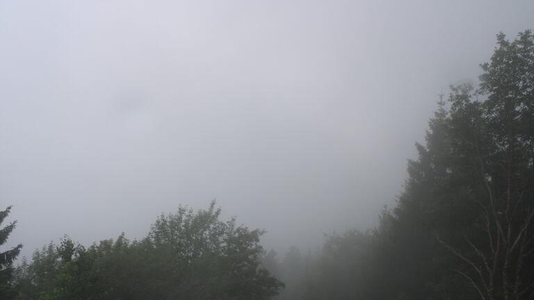 Dieses Bild zeigt eine Webcam-Aufnahme vom Achertal, aufgenommen am Mittwoch, den 01.07.2026 um 09:50 Uhr. Die Temperatur betrug 17.8°C.