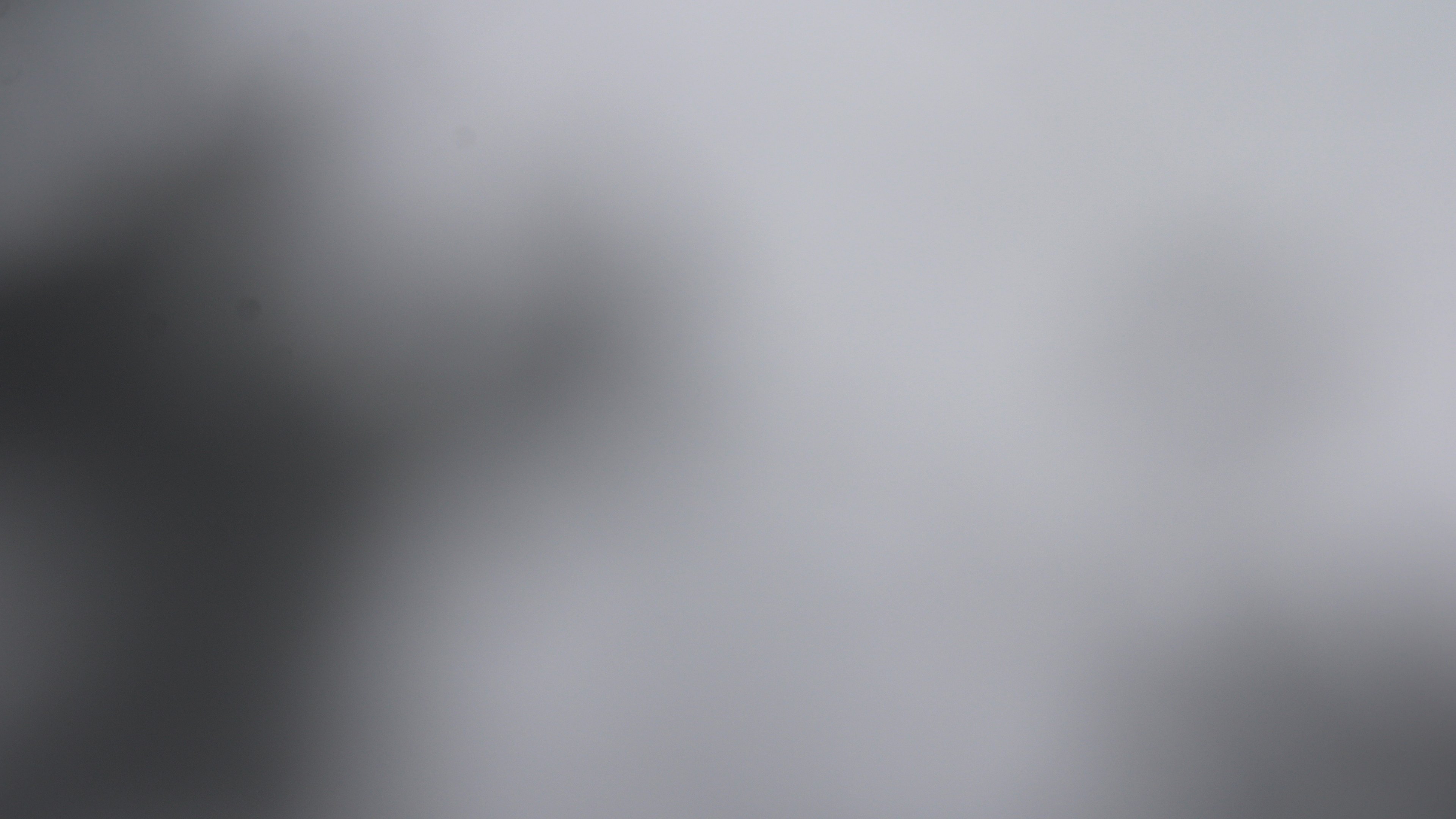 Zum Fotoarchiv vom Donnerstag, 20. November 2025