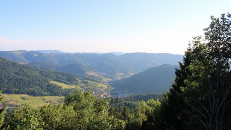 Dieses Bild zeigt eine Webcam-Aufnahme vom Achertal, aufgenommen am Samstag, den 11.07.2026 um 19:40 Uhr. Die Temperatur betrug 29°C.