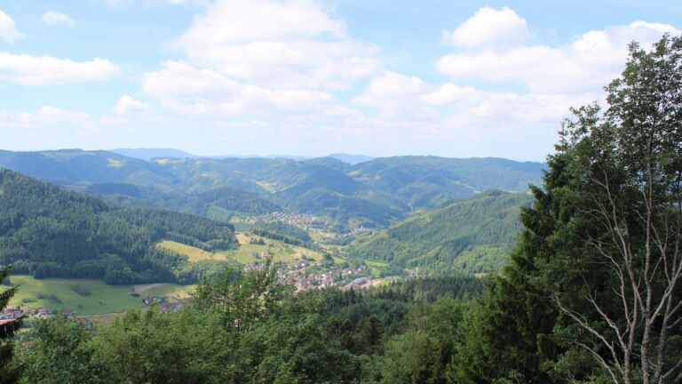 Dieses Bild zeigt eine Webcam-Aufnahme vom Achertal, aufgenommen am Montag, den 15.06.2026 um 11:20 Uhr. Die Temperatur betrug 15.8°C.