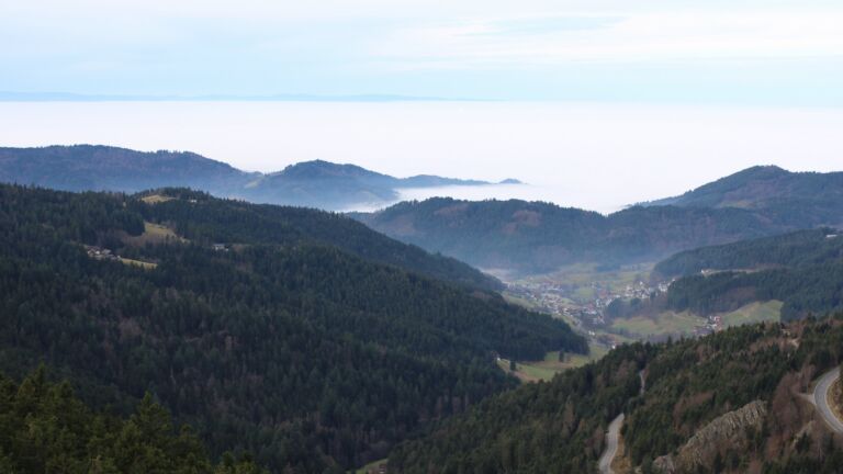 Dieses Bild zeigt eine Webcam-Aufnahme vom Achertal, aufgenommen am Dienstag, den 16.12.2025 um 10:50 Uhr. Die Temperatur betrug 9.8°C.