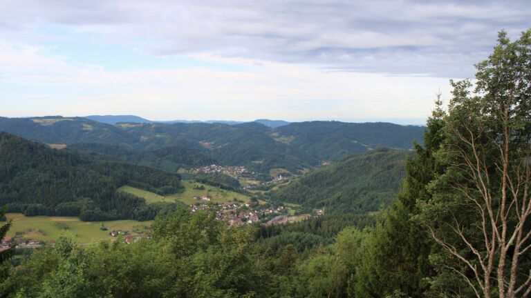 Dieses Bild zeigt eine Webcam-Aufnahme vom Achertal, aufgenommen am Freitag, den 17.07.2026 um 07:50 Uhr. Die Temperatur betrug 19°C.