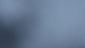 Dieses Bild zeigt eine Webcam-Aufnahme vom Achertal, aufgenommen am Donnerstag, den 20.11.2025 um 07:40 Uhr. Die Temperatur betrug -3.6°C.