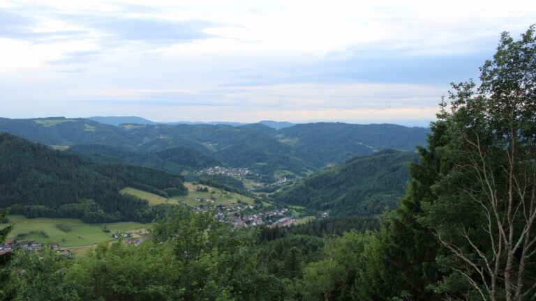 Dieses Bild zeigt eine Webcam-Aufnahme vom Achertal, aufgenommen am Donnerstag, den 11.06.2026 um 20:40 Uhr. Die Temperatur betrug 11.6°C.