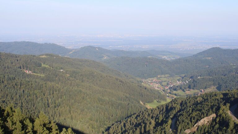 Dieses Bild zeigt eine Webcam-Aufnahme vom Achertal, aufgenommen am Dienstag, den 19.08.2025 um 08:10 Uhr. Die Temperatur betrug 18.9°C.