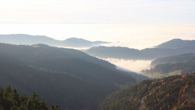 Dieses Bild zeigt eine Webcam-Aufnahme vom Achertal, aufgenommen am Freitag, den 07.11.2025 um 15:50 Uhr. Die Temperatur betrug 12.8°C.