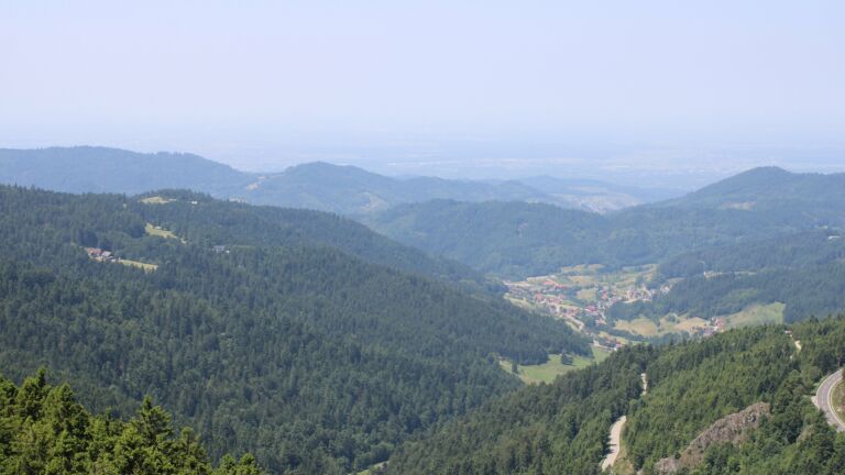 Dieses Bild zeigt eine Webcam-Aufnahme vom Achertal, aufgenommen am Donnerstag, den 12.06.2025 um 12:50 Uhr. Die Temperatur betrug 23.1°C.