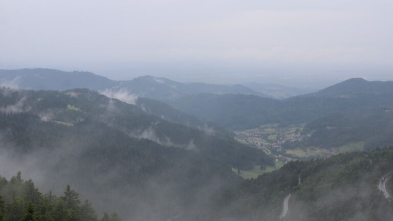 Dieses Bild zeigt eine Webcam-Aufnahme vom Achertal, aufgenommen am Mittwoch, den 04.06.2025 um 12:50 Uhr. Die Temperatur betrug 11.8°C.