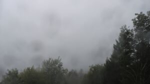 Dieses Bild zeigt eine Webcam-Aufnahme vom Achertal, aufgenommen am Donnerstag, den 08.10.2026 um 17:10 Uhr. Die Temperatur betrug 9.1°C.