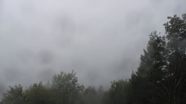 Dieses Bild zeigt eine Webcam-Aufnahme vom Achertal, aufgenommen am Donnerstag, den 08.10.2026 um 17:10 Uhr. Die Temperatur betrug 9.1°C.