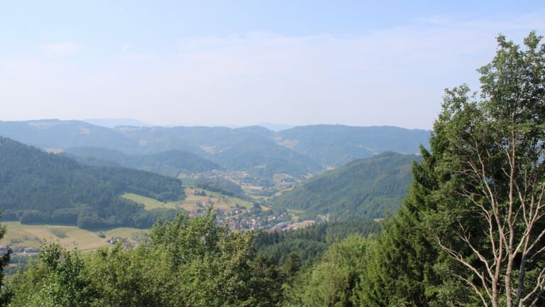 Dieses Bild zeigt eine Webcam-Aufnahme vom Achertal, aufgenommen am Freitag, den 31.07.2026 um 11:40 Uhr. Die Temperatur betrug 28.7°C.