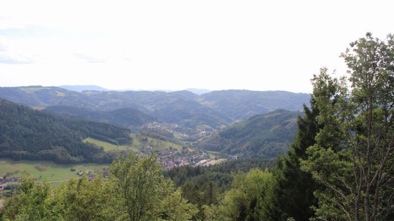 Dieses Bild zeigt eine Webcam-Aufnahme vom Achertal, aufgenommen am Montag, den 07.09.2026 um 15:50 Uhr. Die Temperatur betrug 29.2°C.