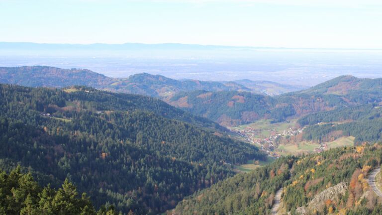 Dieses Bild zeigt eine Webcam-Aufnahme vom Achertal, aufgenommen am Mittwoch, den 05.11.2025 um 10:50 Uhr. Die Temperatur betrug 14.9°C.