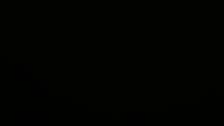 Dieses Bild zeigt eine Webcam-Aufnahme vom Achertal, aufgenommen am Dienstag, den 23.09.2025 um 00:00 Uhr. Die Temperatur betrug 4°C.