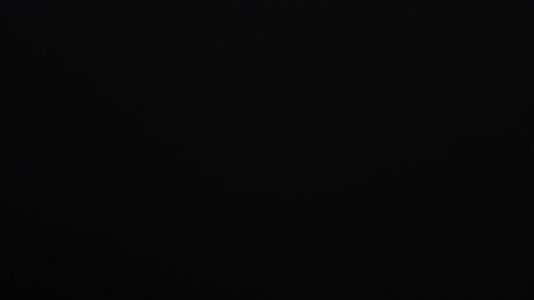 Dieses Bild zeigt eine Webcam-Aufnahme vom Achertal, aufgenommen am Samstag, den 21.02.2026 um 19:10 Uhr. Die Temperatur betrug 4.1°C.