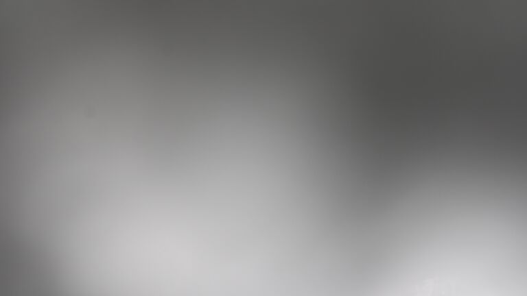 Dieses Bild zeigt eine Webcam-Aufnahme vom Achertal, aufgenommen am Mittwoch, den 07.01.2026 um 13:00 Uhr. Die Temperatur betrug -5.4°C.