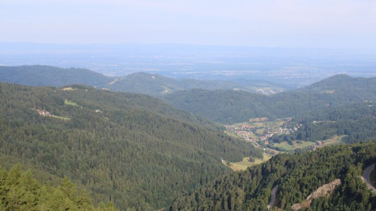 Dieses Bild zeigt eine Webcam-Aufnahme vom Achertal, aufgenommen am Freitag, den 18.07.2025 um 08:10 Uhr. Die Temperatur betrug 20°C.