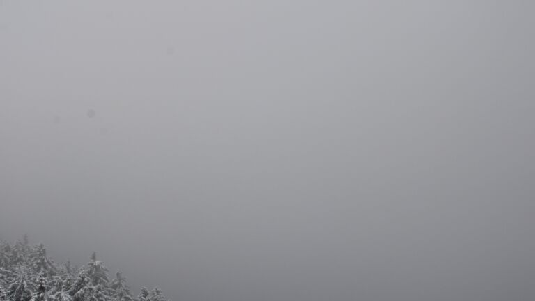 Dieses Bild zeigt eine Webcam-Aufnahme vom Achertal, aufgenommen am Mittwoch, den 26.11.2025 um 11:30 Uhr. Die Temperatur betrug -0.8°C.