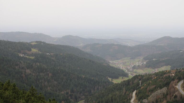 Dieses Bild zeigt eine Webcam-Aufnahme vom Achertal, aufgenommen am Freitag, den 14.11.2025 um 10:20 Uhr. Die Temperatur betrug 16°C.