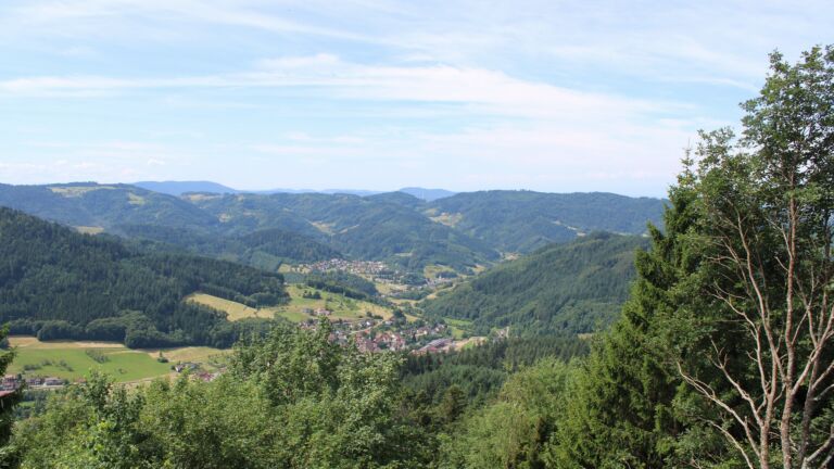 Dieses Bild zeigt eine Webcam-Aufnahme vom Achertal, aufgenommen am Freitag, den 03.07.2026 um 11:50 Uhr. Die Temperatur betrug 20.9°C.