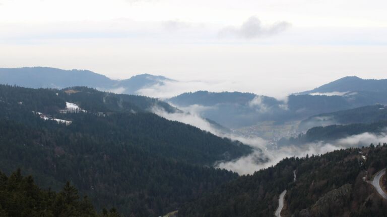 Dieses Bild zeigt eine Webcam-Aufnahme vom Achertal, aufgenommen am Dienstag, den 03.02.2026 um 12:30 Uhr. Die Temperatur betrug 2.5°C.