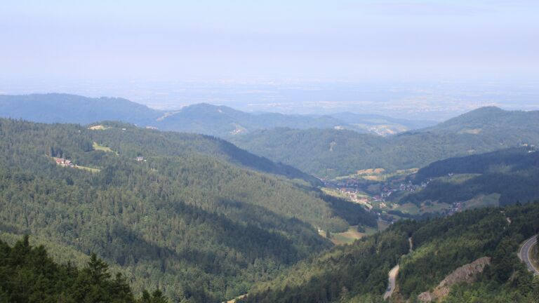 Dieses Bild zeigt eine Webcam-Aufnahme vom Achertal, aufgenommen am Freitag, den 11.07.2025 um 10:20 Uhr. Die Temperatur betrug 16.1°C.