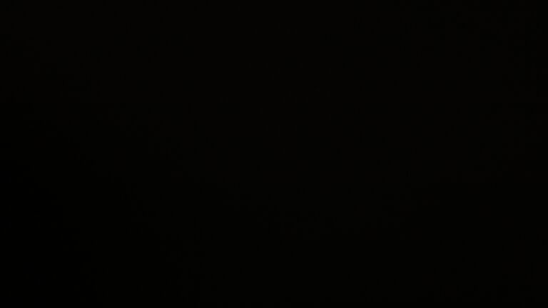 Dieses Bild zeigt eine Webcam-Aufnahme vom Achertal, aufgenommen am Donnerstag, den 20.11.2025 um 06:20 Uhr. Die Temperatur betrug -3.3°C.