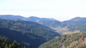 Dieses Bild zeigt eine Webcam-Aufnahme vom Achertal, aufgenommen am Montag, den 10.11.2025 um 11:00 Uhr. Die Temperatur betrug 6.4°C.