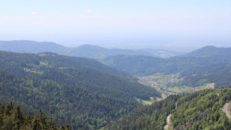 Dieses Bild zeigt eine Webcam-Aufnahme vom Achertal, aufgenommen am Donnerstag, den 15.05.2025 um 14:50 Uhr. Die Temperatur betrug 12.2°C.